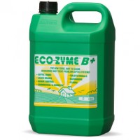Act_EcozymeB+5l